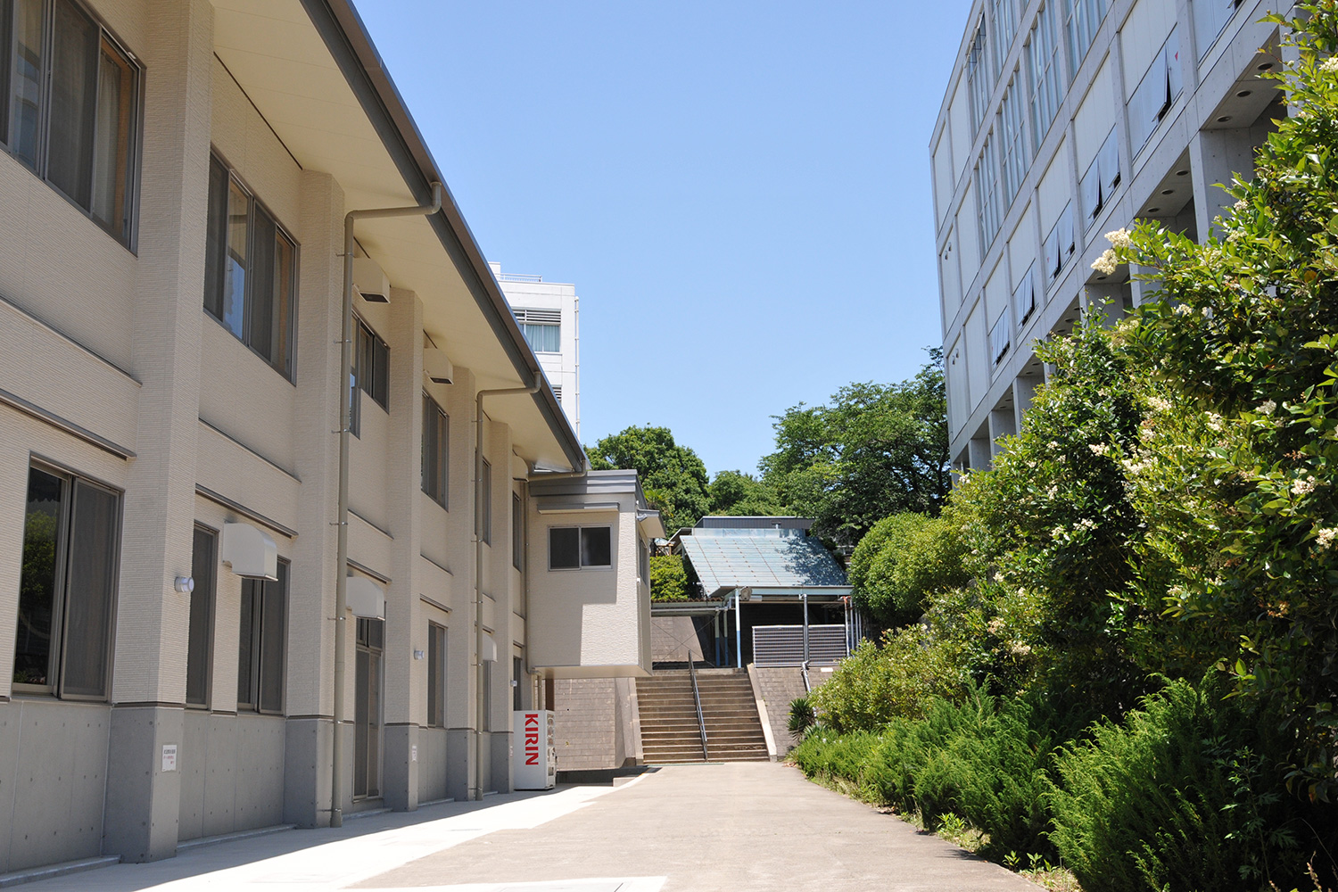中央学院高校（千葉県）の情報（偏差値・口コミなど